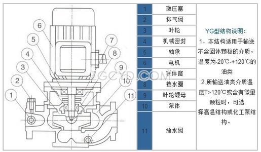 YG型立式管道油泵结构示意图