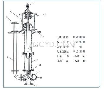 不锈钢液下泵结构图