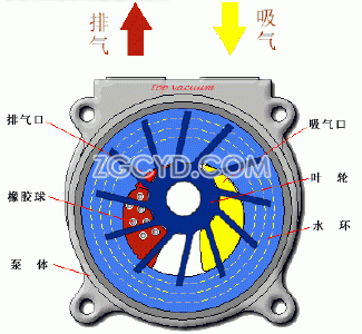 真空泵特点