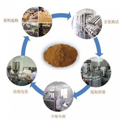 白茅根提取物 水溶性 10:1 白茅根粉 量大从优 欢迎采购图2